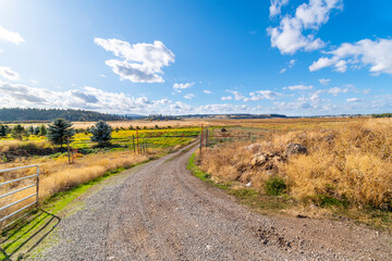 A gravel road leads towards the Saltese Flats Wetland area in rural Spokane Valley, Washington, USA.