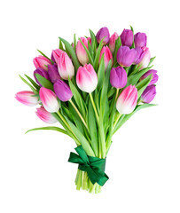 Pink fresh tulips