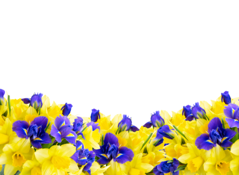 bouquet of daffodil and iris flowers