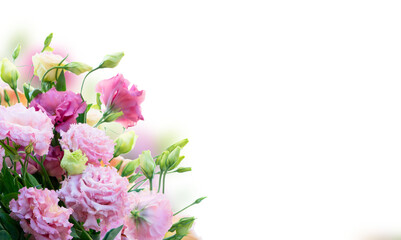 Fototapeta na wymiar Pink rose and eustoma flowers isolated on white background