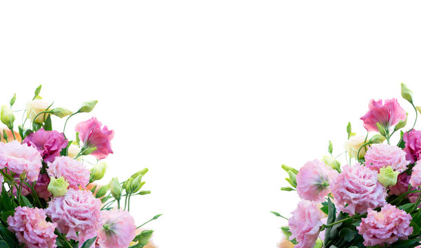 Pink rose and eustoma flowers isolated on white background