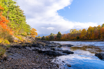 Fall scene by river