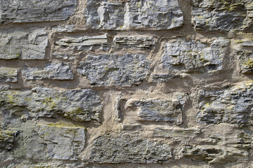 Abstract background. Monochrome texture. Effect the black and white tones.