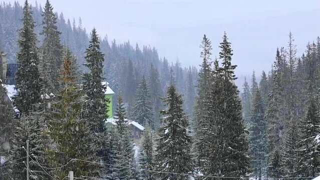 Winter in the mountains, slow motion snowing