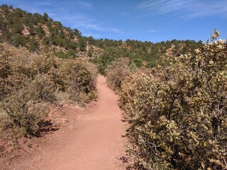 Bush Walk