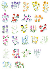set of elements flower wildflower clipart wall art garden flower diy vector