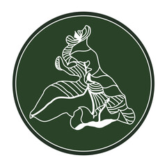 Logo with the image of an autumn leaf of an ordinary oak. Chalk drawings on a dark green background