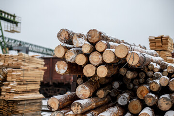 Stock of firewood. Firewood warehouse in the countryside. Woodpile fresh cut pine logs at sawmill factory. Natural wooden background