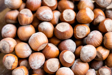 Pile of hazelnuts in a shell  close up