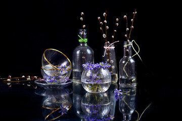 Spring still life: willow branches, blue flowers in glassware, water drops, dark background, reflection from objects