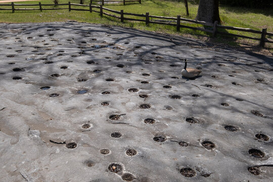 Acorn Grinding Rocks, largest in the World, ChawSe.