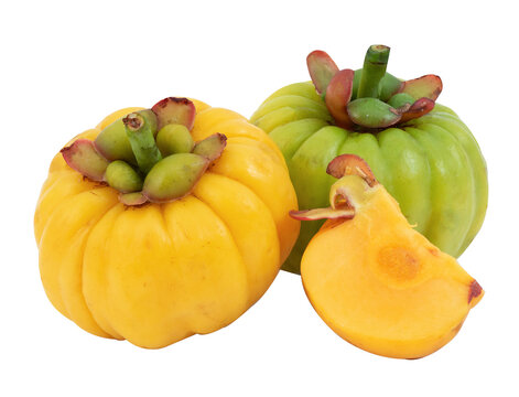 Garcinia atroviridis or Garcinia fruits on transparent background.