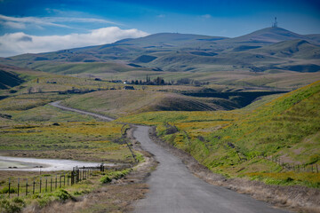 Country Road Through Carrizo Plains