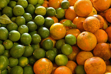 Close up of many citrus limes and oranges mixed together on display.