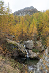 Fototapeta na wymiar small waterfall and lake in the mountain forest with colored larch trees in autumn and peak in the background