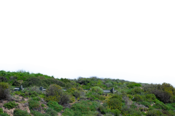 A green, lush, and vibrant hillside with a fence on an isolated background