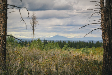 Central Oregon Landscape of the forest and mountains with clouds