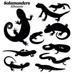 Salamander silhouette vector illustration set.
