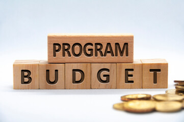 Program budget text engraved on wooden blocks on white background cover. Business and budgeting...