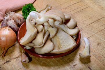 Tasty vegetarian food, fresh organic Pleurotus ostreatus, or oyster mushrooms, hiratake, or pearl oyster mushrooms