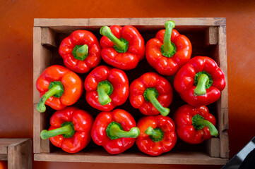 Fresh ripe red sweet bell paprika close up, new harvest
