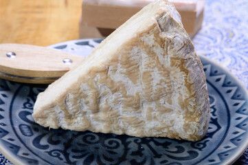 Piece of french soft-ripened white mold cow milk cheese brie produced in Seine-et-Marne region, France