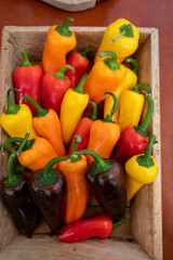 Fresh ripe red, orange, yellow sweet paprika pepper close up