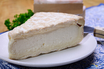 Piece of french soft-ripened white mold cow milk cheese brie produced in Seine-et-Marne region, France