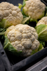 Big white organic cauliflower cabbage on market