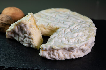 French cheeses collection, Saint-Félicien cow's milk cheese from Rhône-Alpes region of France