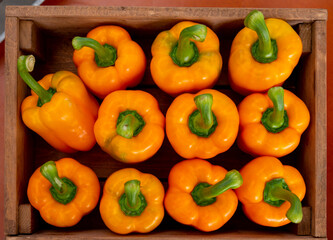 Fresh ripe yellow sweet bell paprika close up