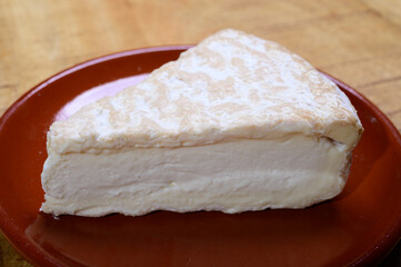 Piece of french soft-ripened white mold cow milk cheese brie produced in Seine-et-Marne region, France