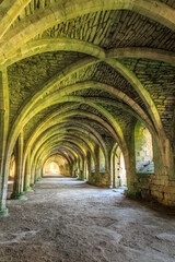 Obraz premium England, North Yorkshire, Ripon. Fountains Abbey, Studley Royal. UNESCO World Heritage Site. Cistercian Monastery. Ruins of vaulted cellarium where food was stored. 2017-05-03