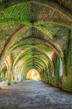 England, North Yorkshire, Ripon. Fountains Abbey, Studley Royal. UNESCO World Heritage Site. Cistercian Monastery. Ruins of vaulted cellarium where food was stored. 2017-05-03