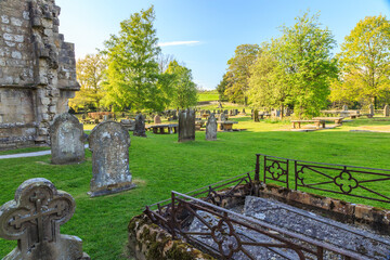 Naklejka premium England, North Yorkshire, Wharfedale, Bolton Abbey, Bolton Priory. Grounds and ruins of 12th century Augustinian monastery. Graves. 2017-05-03