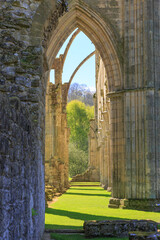 England, North Yorkshire, Rievaulx. 13th c. Cistercian ruins of Rievaulx Abbey.