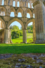 Fototapeta na wymiar England, North Yorkshire, Rievaulx. 13th c. Cistercian ruins of Rievaulx Abbey.