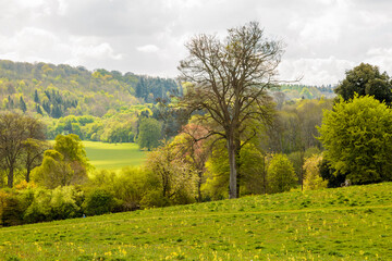 England, Hampshire. 2 May 2017. Highclere Castle. Castles gounds and gardens.