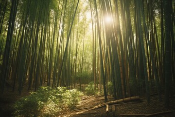 Fototapeta na wymiar Sunny green forest of bamboo. Generative AI