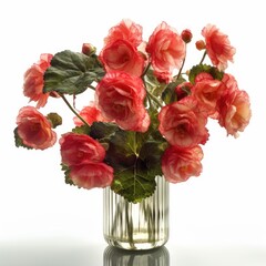 Begonias in a tall slim vase.