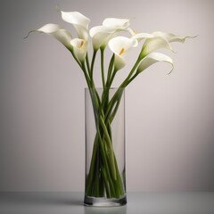Calla Lilies in a tall slim vase