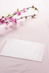 桜の咲く時期の手紙
