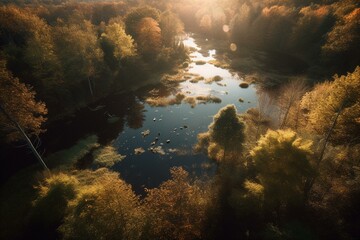 Bird's eye view of pristine woodland and a flowing body of water in warm sunlight. Generative AI