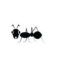 ant icon, vector best flat icon.