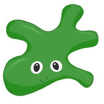 อะมีบา amoeba