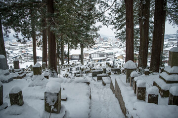 graveyard in Japan winter landscape tree