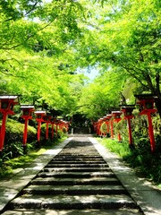 Obraz premium [Japan] The approach to Kurama-dera Temple, lined with vermillion lanterns (Kyoto city)