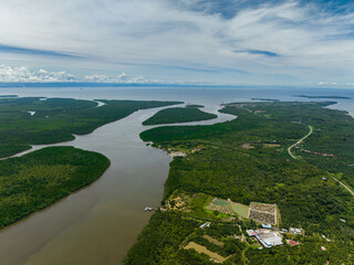 Aerial drone of mangrove forests and jungles in wetlands. Menumbok forest reserve. Borneo, Sabah, Malaysia.