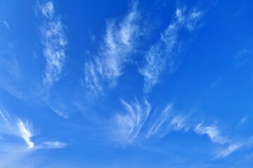 sky, blue, 구름, 구름, 네이처, 일, 백, 공기, 천국, 날씨, 태양, 여름, 라이트, 흐린, 기운, 햇빛, 맑은, 아웃도어, 높다, beautiful, 미, 명랑한, 요약