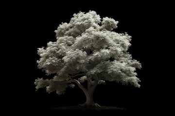 Single white isolated tree with cutout and alpha channel for easy selection and editing. Ideal for digital art or design projects. Generative AI